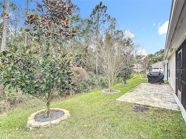 view of yard featuring a patio