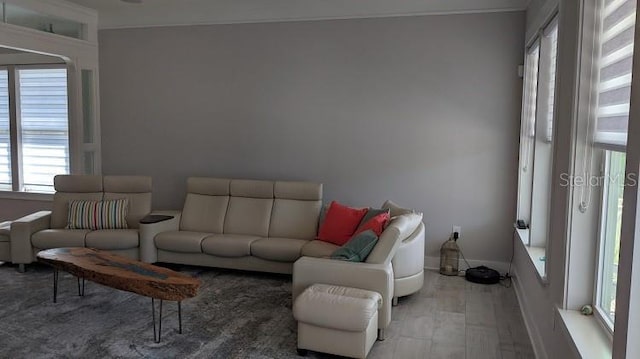 living room with hardwood / wood-style flooring