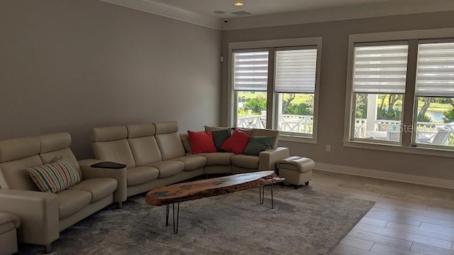 living room featuring crown molding