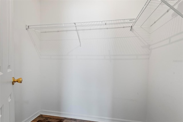 walk in closet featuring hardwood / wood-style flooring