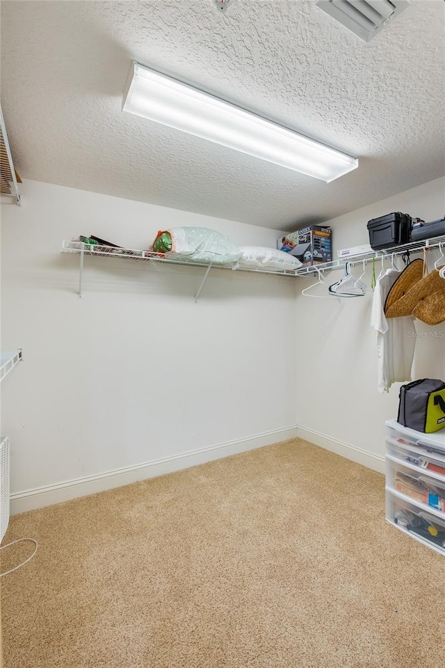 walk in closet with carpet floors