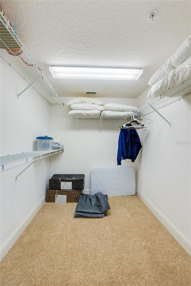 walk in closet featuring carpet floors