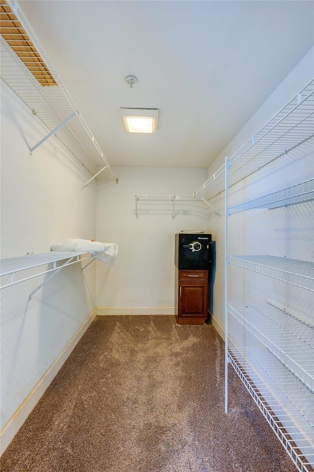 spacious closet featuring carpet flooring