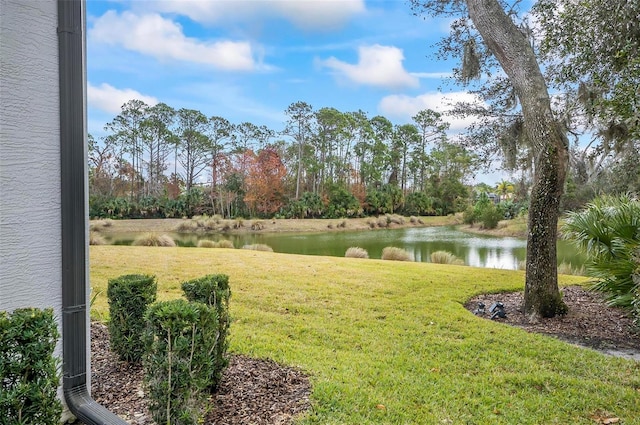 view of yard with a water view