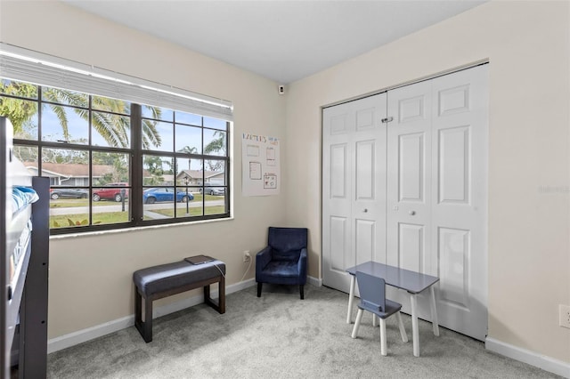 sitting room with light colored carpet