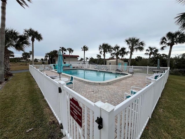 view of pool featuring a yard and a patio area