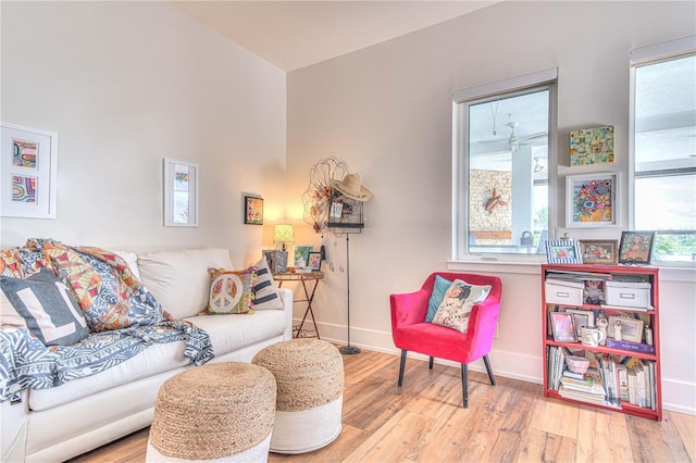 living room featuring wood-type flooring