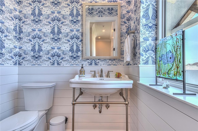 bathroom with toilet and sink