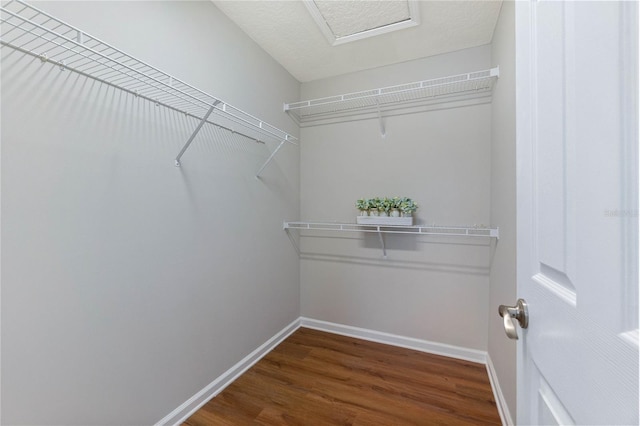 walk in closet featuring dark hardwood / wood-style floors