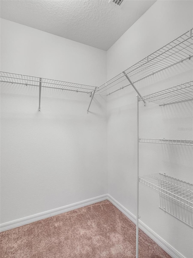 spacious closet with carpet floors