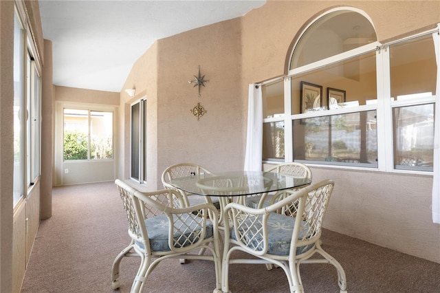 sunroom with vaulted ceiling