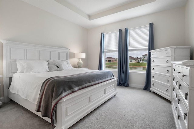 carpeted bedroom with a tray ceiling