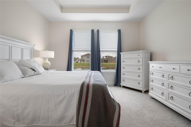 carpeted bedroom with a tray ceiling