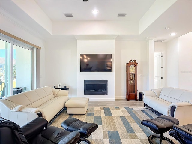 living room with a tray ceiling and light hardwood / wood-style floors