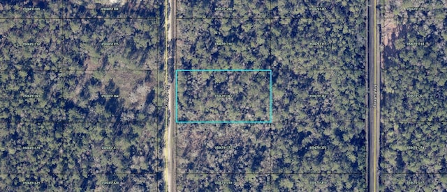 Gregory Ave, Hastings FL, 32145 land for sale