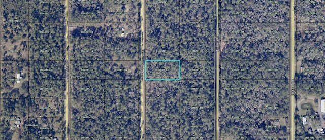 Listing photo 2 for Gregory Ave, Hastings FL 32145