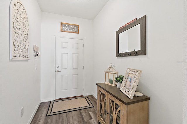 entryway featuring dark wood-type flooring