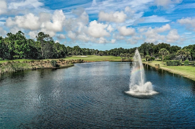 property view of water