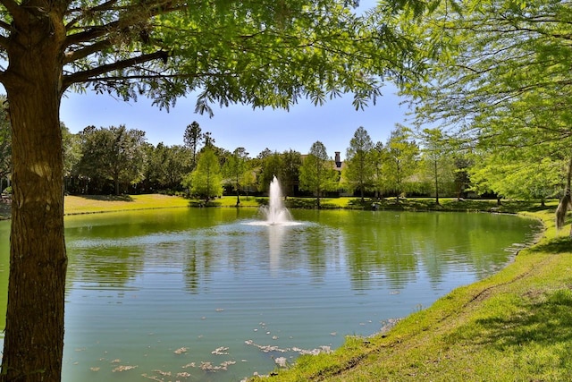 view of water feature