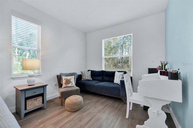 office with hardwood / wood-style flooring and a wealth of natural light