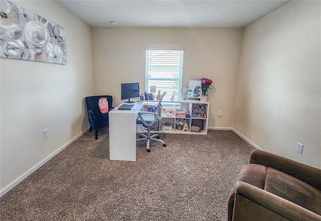 office space with carpet flooring