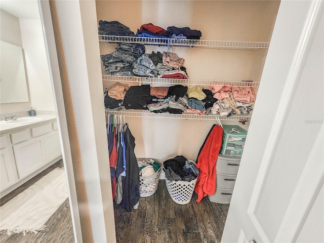 closet with sink