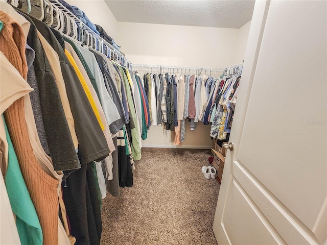 walk in closet featuring carpet