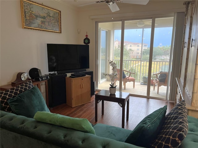 living area featuring crown molding, ceiling fan, and wood finished floors