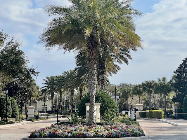 view of road featuring curbs, street lighting, a gated entry, and a gate