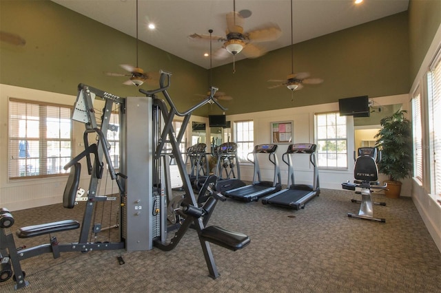 gym with carpet and a high ceiling