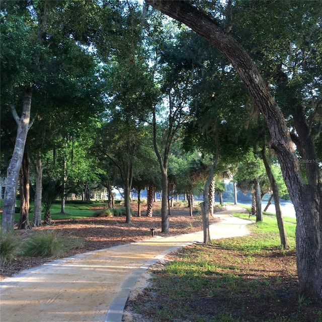 75 Riverview Bnd S Unit 1633, Palm Coast, FL 32137 - view of community