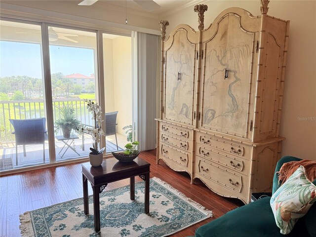 75 Riverview Bnd S Unit 1633, Palm Coast, FL 32137 - living area featuring a ceiling fan, plenty of natural light, and dark wood finished floors