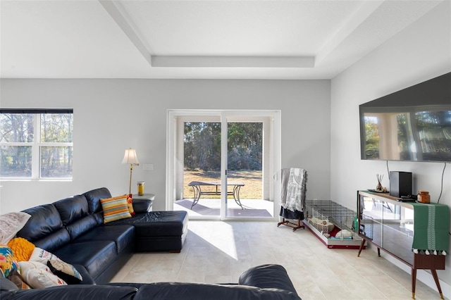 living room with a raised ceiling