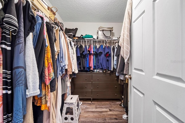 spacious closet featuring dark hardwood / wood-style flooring