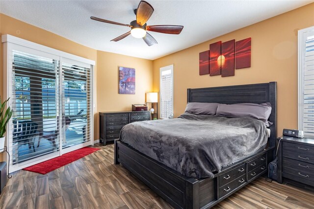 bedroom with multiple windows, dark hardwood / wood-style flooring, access to exterior, and ceiling fan