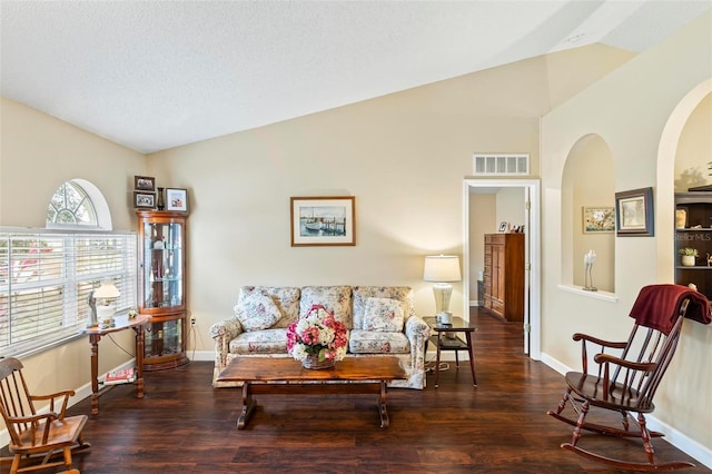 living room featuring dark wood-type flooring and vaulted ceiling