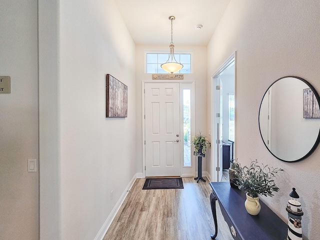 foyer entrance featuring wood-type flooring