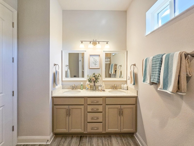 bathroom with wood-type flooring and vanity