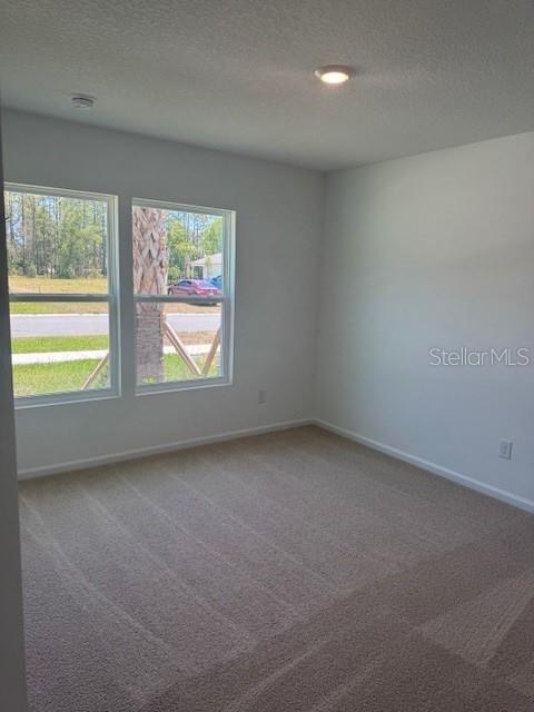 186 Greenwood Dr, Palm Coast, FL 32137 - photo 6