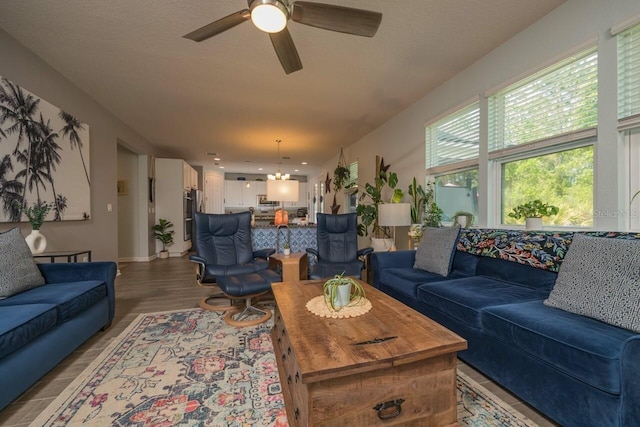 living room featuring wood-type flooring and ceiling fan with notable chandelier