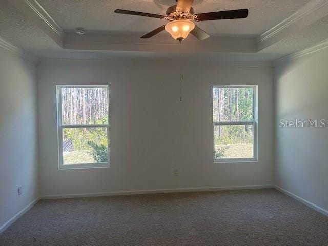 spare room featuring crown molding, a wealth of natural light, and a tray ceiling