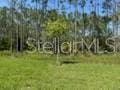 179 Greenwood Dr, Palm Coast, FL 32137 - photo 21