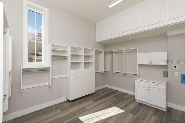 walk in closet featuring dark wood-type flooring