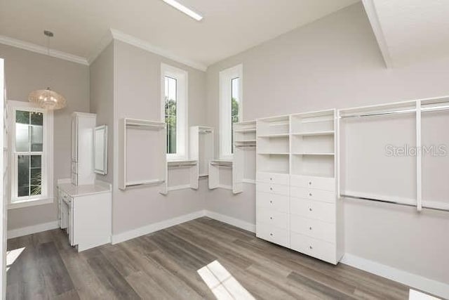 walk in closet featuring dark hardwood / wood-style floors