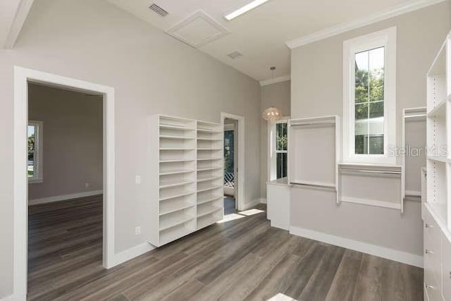 walk in closet with dark hardwood / wood-style flooring