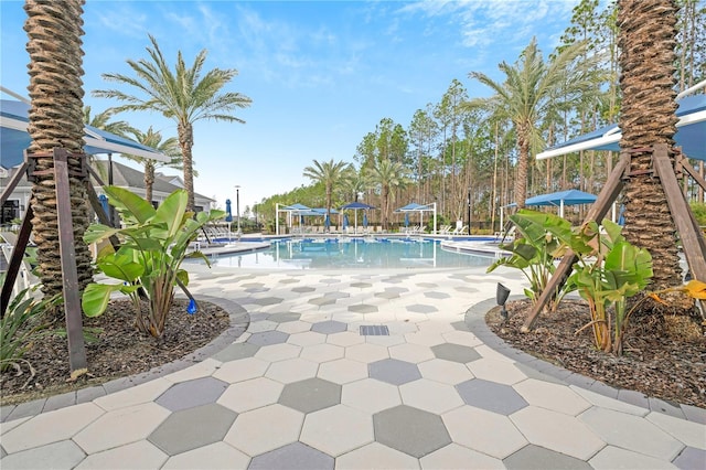 view of pool with a patio