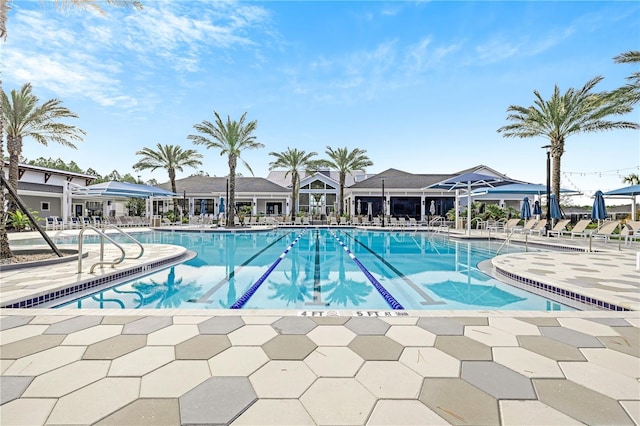 view of pool featuring a patio area