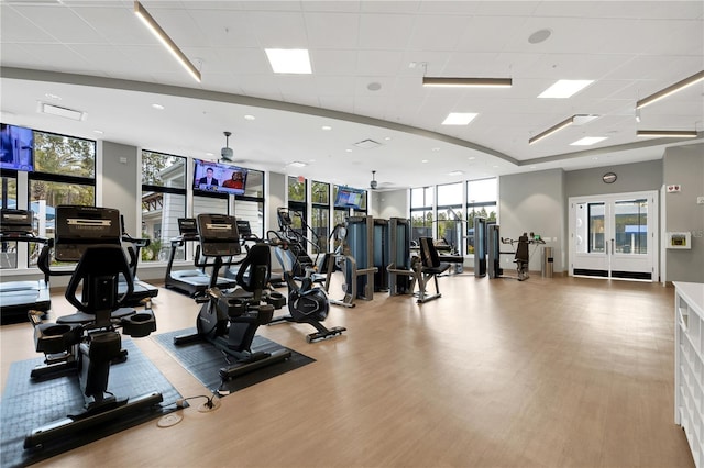 exercise room featuring a paneled ceiling, floor to ceiling windows, light hardwood / wood-style flooring, and a wealth of natural light