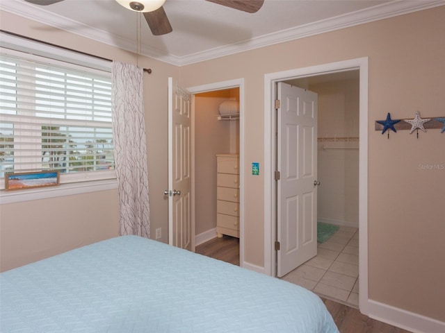 bedroom featuring a walk in closet, ornamental molding, a closet, and ceiling fan