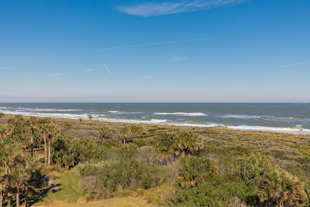 water view featuring a beach view